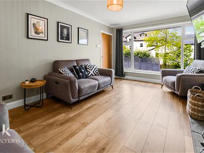 Picture 14